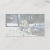 Lynx leaping, bounding op sneeuw visitekaartje (Achterkant)