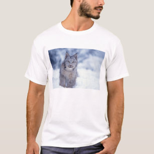 lynx, Lynx lynx, in de sneeuw op de voet van T-shirt
