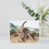 Lynx (Lynx rufus var maculatus) Illustratie Briefkaart (Staand voorkant)