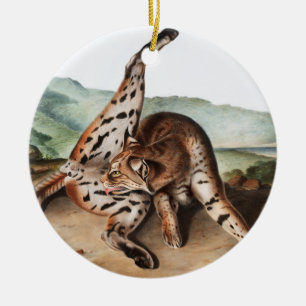 Lynx (Lynx rufus var maculatus) Illustratie Keramisch Ornament