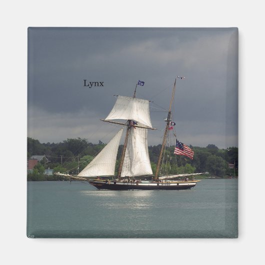 Lynx magnet (Voorkant)