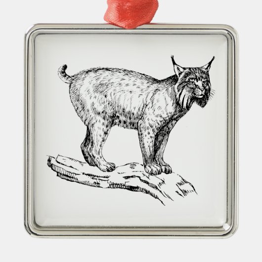 Lynx Metalen Ornament (Voorkant)