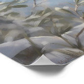 Lynx Mystique-Poster Poster (Hoek)