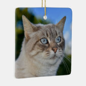 Lynx Point Cat met Blue Eyes Keramisch Ornament (Rechts)