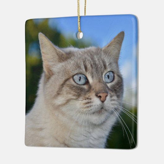 Lynx Point Cat met Blue Eyes Keramisch Ornament (Links)
