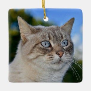 Lynx Point Cat met Blue Eyes Keramisch Ornament