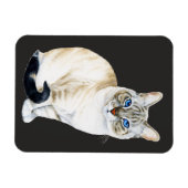 Lynx Point Siamese Cat Magneet (Horizontaal)
