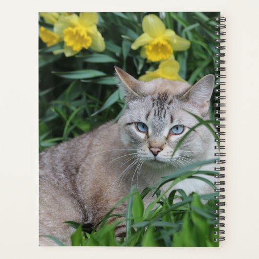 Lynx Point Siamese Cat Planner (Achterkant)