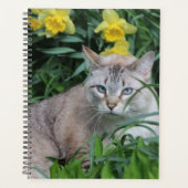 Lynx Point Siamese Cat Planner (Voorkant)