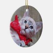 Lynx Point Siamese Ornament (Rechts)