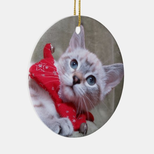 Lynx Point Siamese Ornament (Rechts)