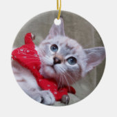 Lynx Point Siamese Ornament (Voorkant)