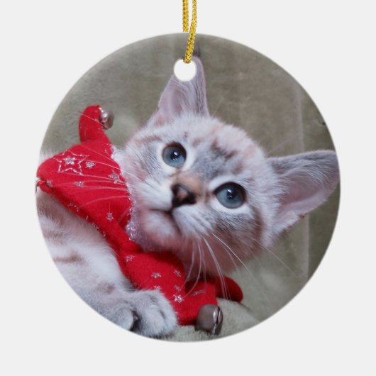 Lynx Point Siamese Ornament (Voorkant)
