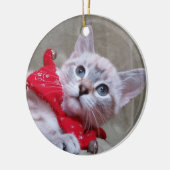 Lynx Point Siamese Ornament (Links)
