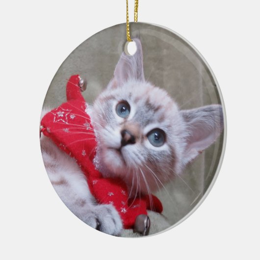 Lynx Point Siamese Ornament (Links)
