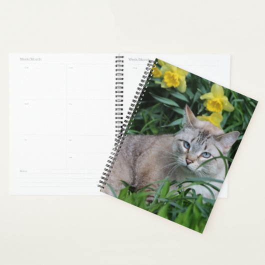 Lynx Point Siamesees Kat Planner (Display)