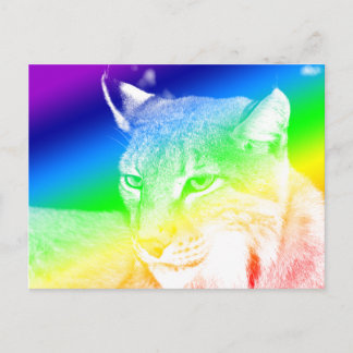 Lynx Regenbooghoogtepunten Briefkaart
