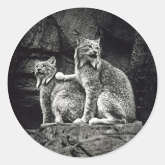 Lynx Ronde Sticker