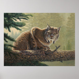 Lynx-schilderij - poster