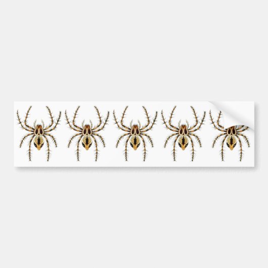 Lynx Spider Bumpersticker (Voorkant)