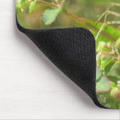 Lynx Spider Muismat (Hoek)