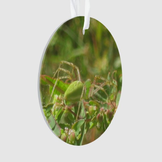 Lynx Spider Ornament (voorkant)