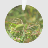 Lynx Spider Ornament (voorkant)