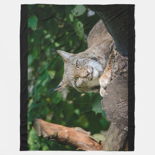 Lynx Wildcat op Fleece Blanket (Voorkant)