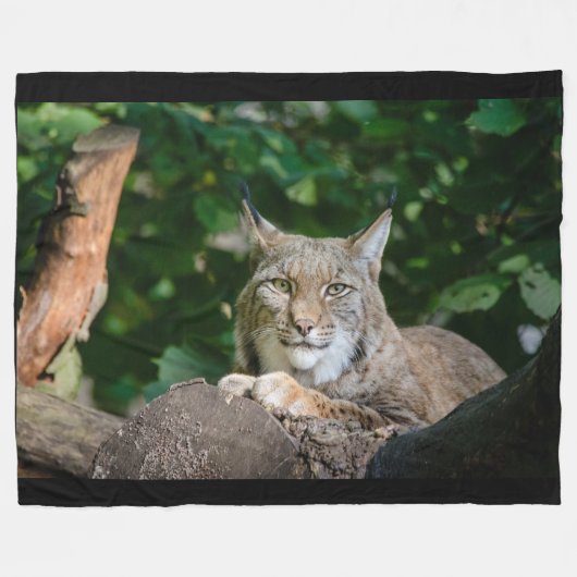 Lynx Wildcat op Fleece Blanket Deken (Voorkant (Horizontaal))