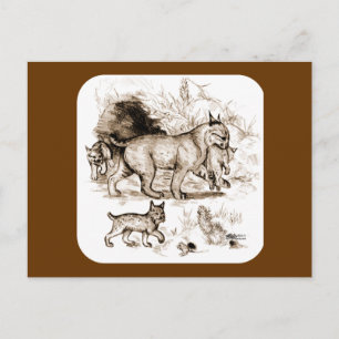 Lynxfamilie Briefkaart