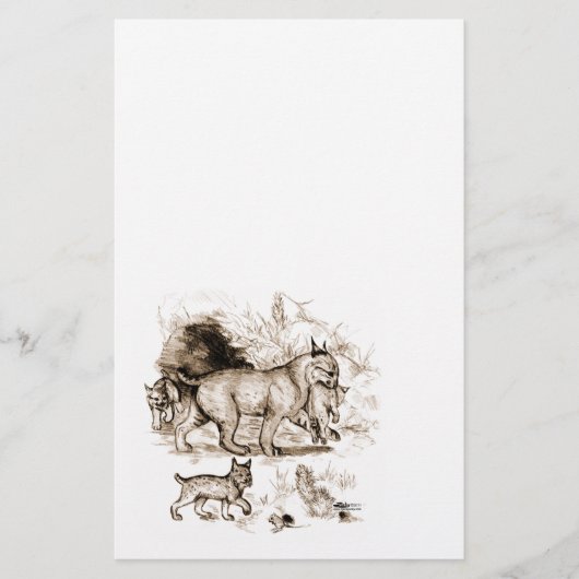 Lynxfamilie Briefpapier (Voorkant)