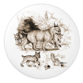 Lynxfamilie Keramische Knop (Voorkant)