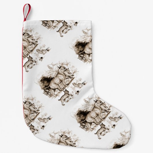 Lynxfamilie Kleine Kerstsok (Voorkant)