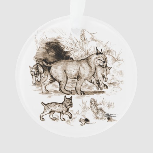 Lynxfamilie Ornament (voorkant)