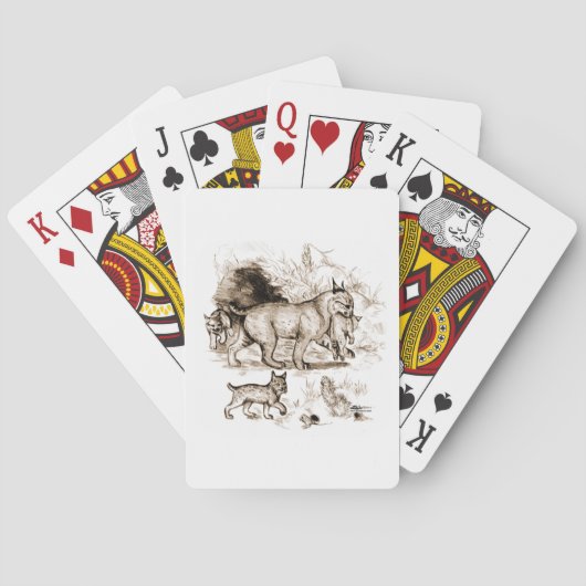 Lynxfamilie Pokerkaarten (Achterkant)