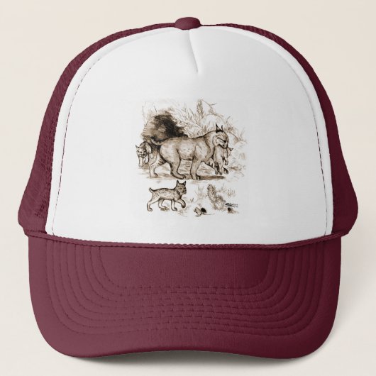Lynxfamilie Trucker Pet (Voorkant)