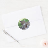 lynxpaar ronde sticker (Envelop)