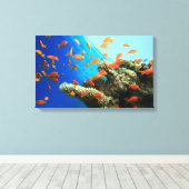 Lyretail-anthias op koraalrif canvas afdruk (Insitu (Houten vloer))