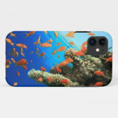 Lyretail-anthias op koraalrif Case-Mate iPhone case (Achterkant (horizontaal))