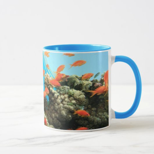 Lyretail-anthias op koraalrif mok (Rechts)