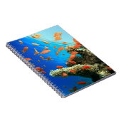Lyretail-anthias op koraalrif notitieboek (Rechterzijde)