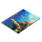 Lyretail-anthias op koraalrif notitieboek (Linkerzijde)