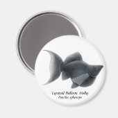 Lyretail ballon Molly Magneet (Voorkant / Achterkant)