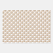 Lyrische Acro Karakter Schoenen Dans Leraar Studio Inpakpapier Vel (Voorkant)