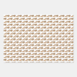 Lyrische Acro Karakter Schoenen Dans Leraar Studio Inpakpapier Vel