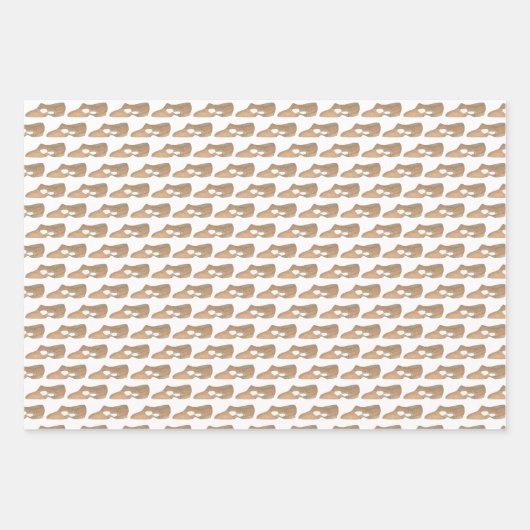 Lyrische Acro Karakter Schoenen Dans Leraar Studio Inpakpapier Vel (Voorkant)