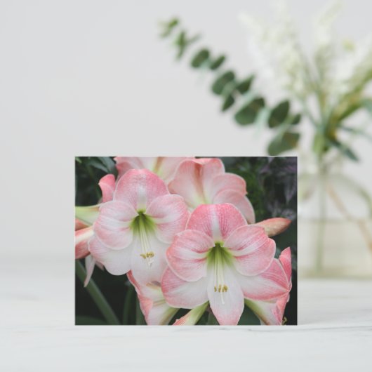 Lys-postkaart Briefkaart (Staand voorkant)