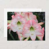 Lys-postkaart Briefkaart (Voorkant / Achterkant)