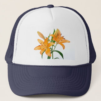 Lys vrachtwagenhoed trucker pet