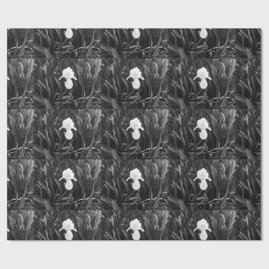 Lysbloem Cadeaupapier (Vlak)